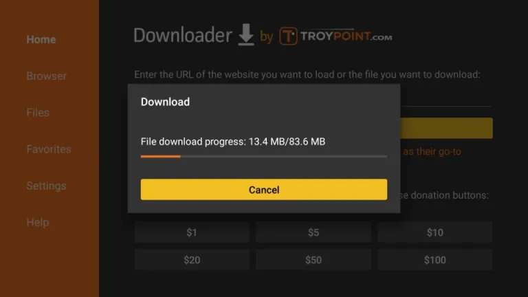 IPTV Smarters Firestick